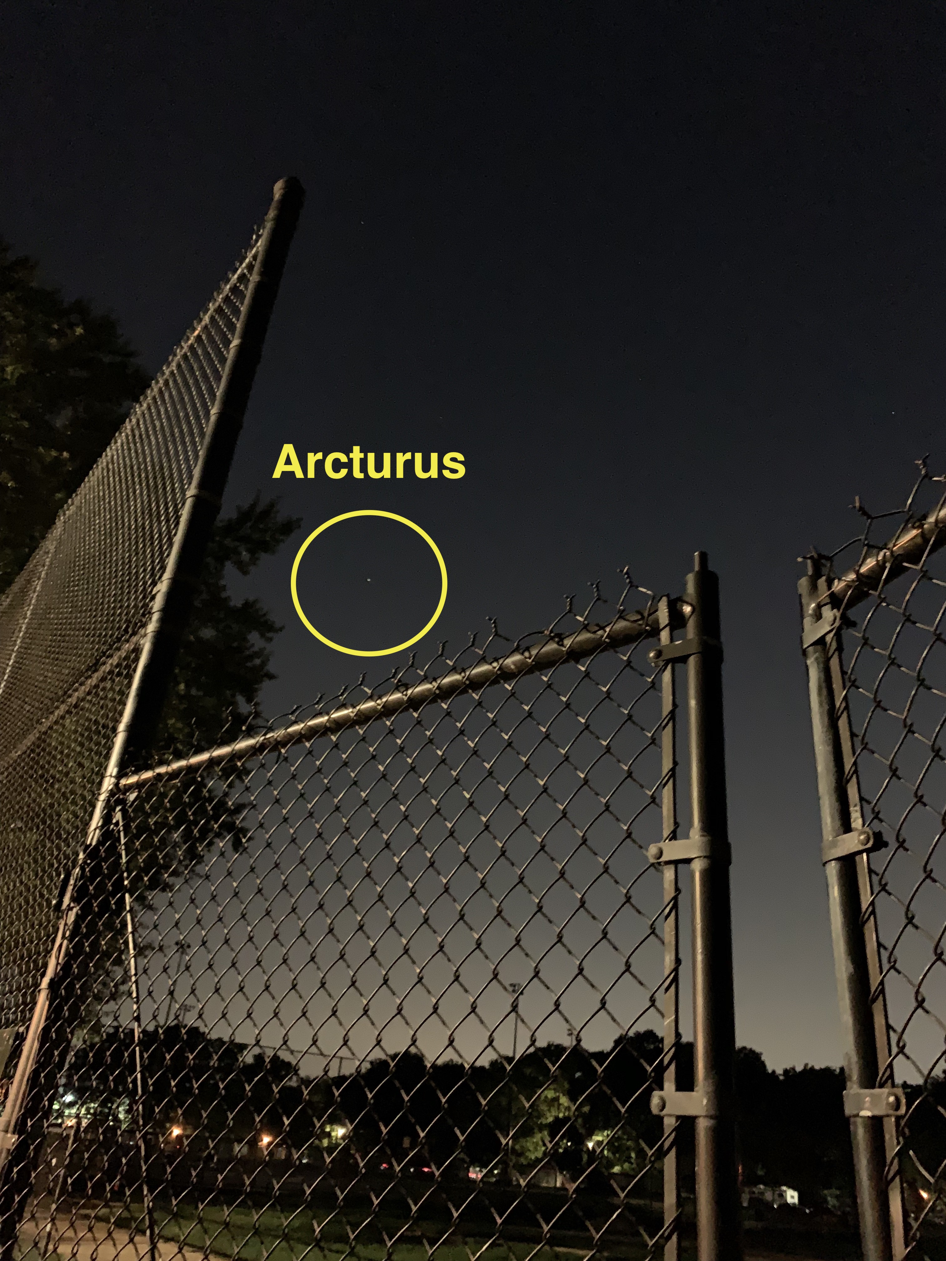 View of night sky over a chainlink fence, with one star circled and labeled as Arcturus.